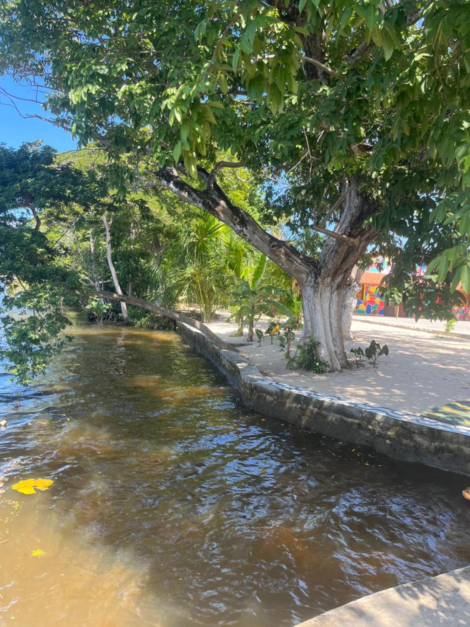 ברייריניאס Pousada Paraiso Cultural מראה חיצוני תמונה